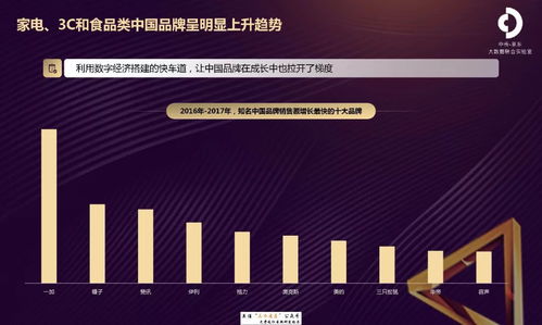 京东2018互联网时代下的中国品牌发展报告 信息技术咨询服务的实践与洞察